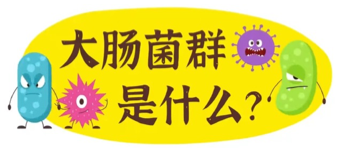 以数据分析推动餐饮业高质量发展——厦门开展餐饮加工过程管控专项研究性抽检(图3)