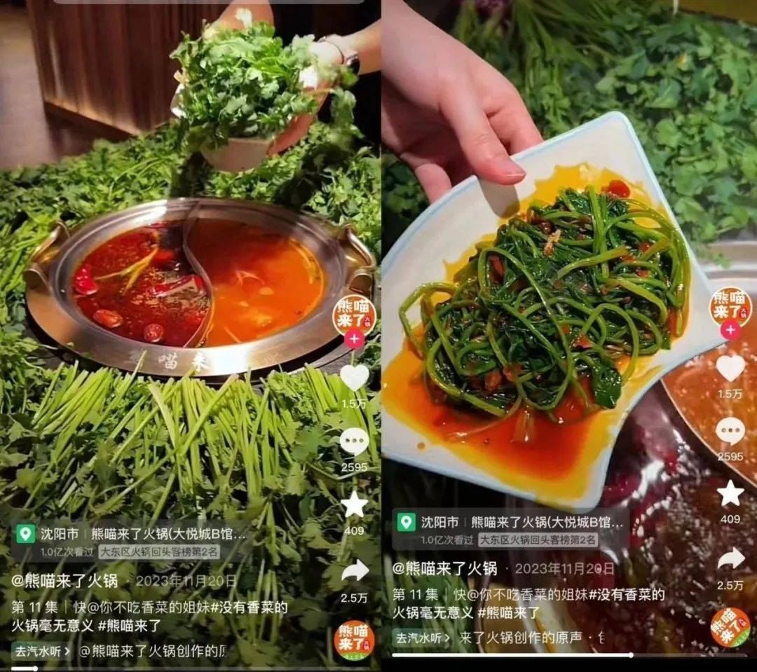 一年300天都在找食材的火锅店到底找到了什么？(图4)