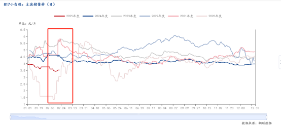 Mysteel解读：钢联数据与Deepsk预测结合下的3月817小白鸡市场分析(图2)
