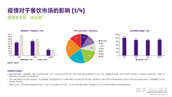 乡村行·看振兴）湖北荆州：“美丽经济”绘就乡村振兴新画卷